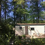木屋 Sfeervol In Bosrijke Omgeving *