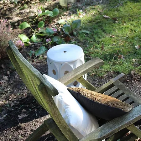 Chalé Sfeervol In Bosrijke Omgeving