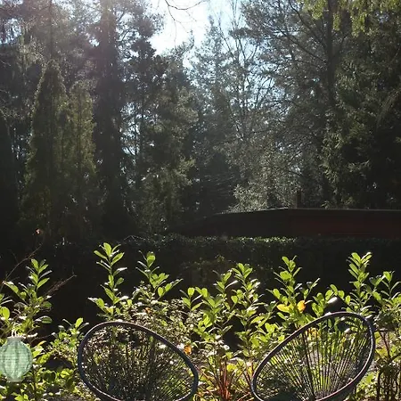 Sfeervol In Bosrijke Omgeving * Vorden