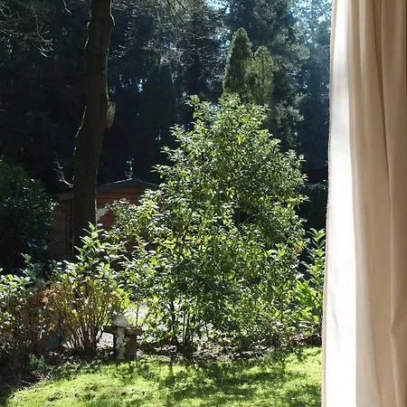 Sfeervol In Bosrijke Omgeving *