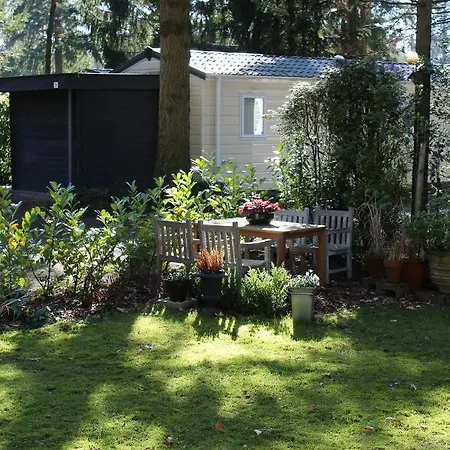 Sfeervol In Bosrijke Omgeving *