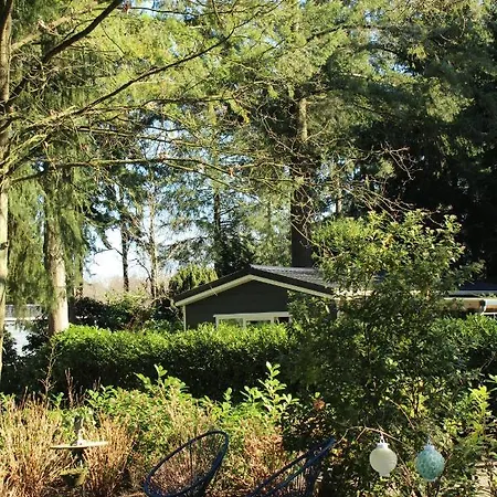 Chalet Sfeervol In Bosrijke Omgeving Vorden