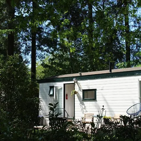 Sfeervol In Bosrijke Omgeving Chalet *