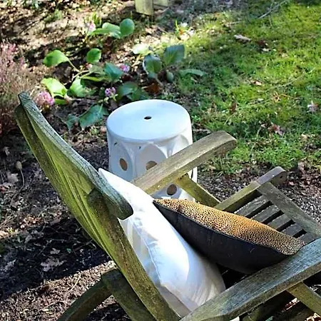 Sfeervol In Bosrijke Omgeving Vorden