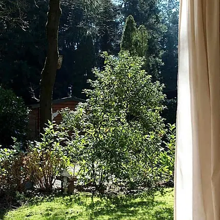 Chalé Sfeervol In Bosrijke Omgeving Vorden