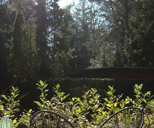 Sfeervol In Bosrijke Omgeving * Vorden