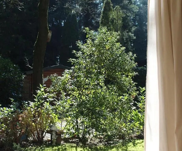 Sfeervol In Bosrijke Omgeving *