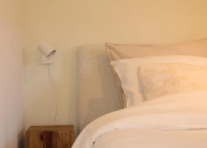 Sfeervol In Bosrijke Omgeving Vorden