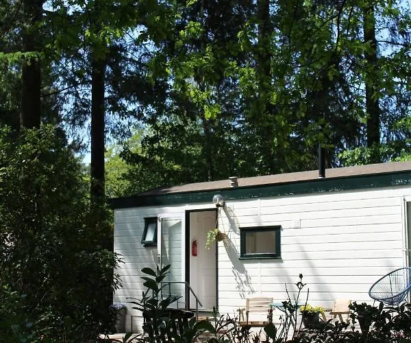 Sfeervol In Bosrijke Omgeving Chalet *