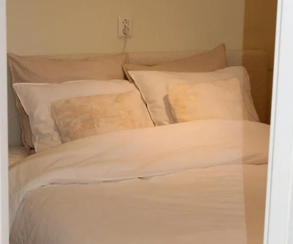 Sfeervol In Bosrijke Omgeving Vorden