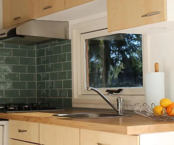 Sfeervol In Bosrijke Omgeving Vorden