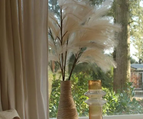 Sfeervol In Bosrijke Omgeving