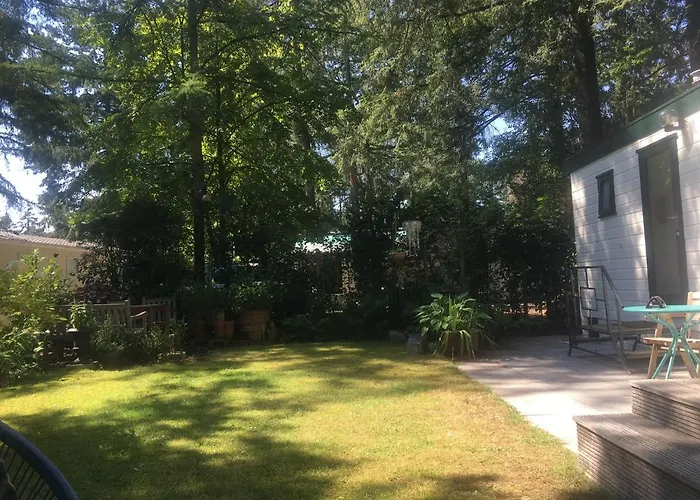 Sfeervol In Bosrijke Omgeving Σαλέ Vorden